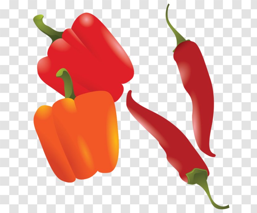 Vegetable Fruit Chili Pepper Bell Food - Peppers - Cartoon Images Vegetables Transparent PNG