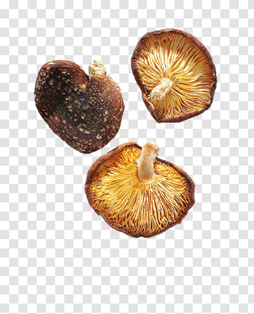 Shiitake Edible Mushroom - Yellow - Dry Mushrooms Transparent PNG