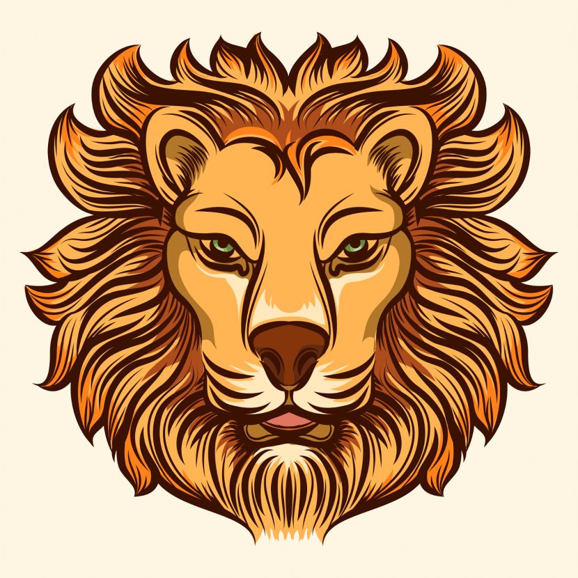 Lion Fashion Drawing - Organism - Lions Head Transparent PNG