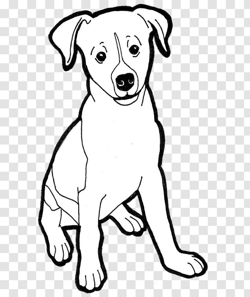 Puppy Dog Breed Jack Russell Terrier Parson Companion - Snout Transparent PNG
