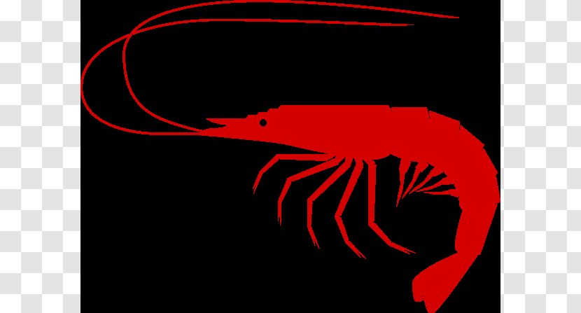 Clip Art Openclipart Seafood Shrimp Free Content - Organism Transparent PNG