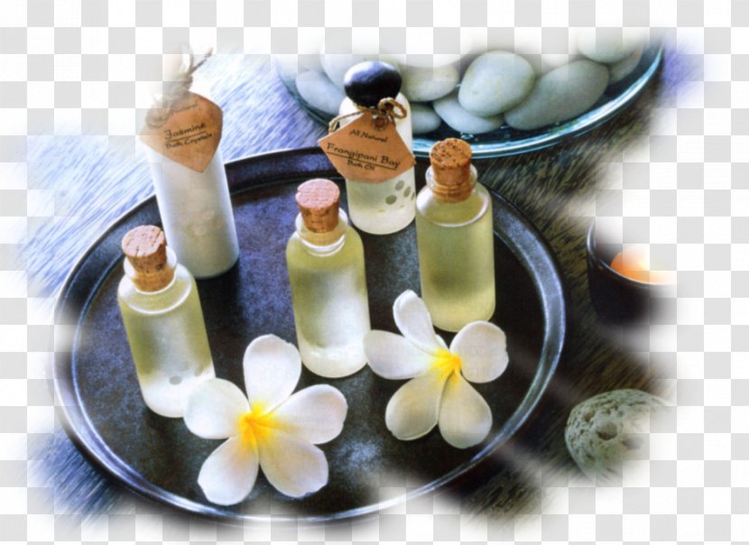 Essential Oil Aromatherapy Massage Perfume - Castor Transparent PNG