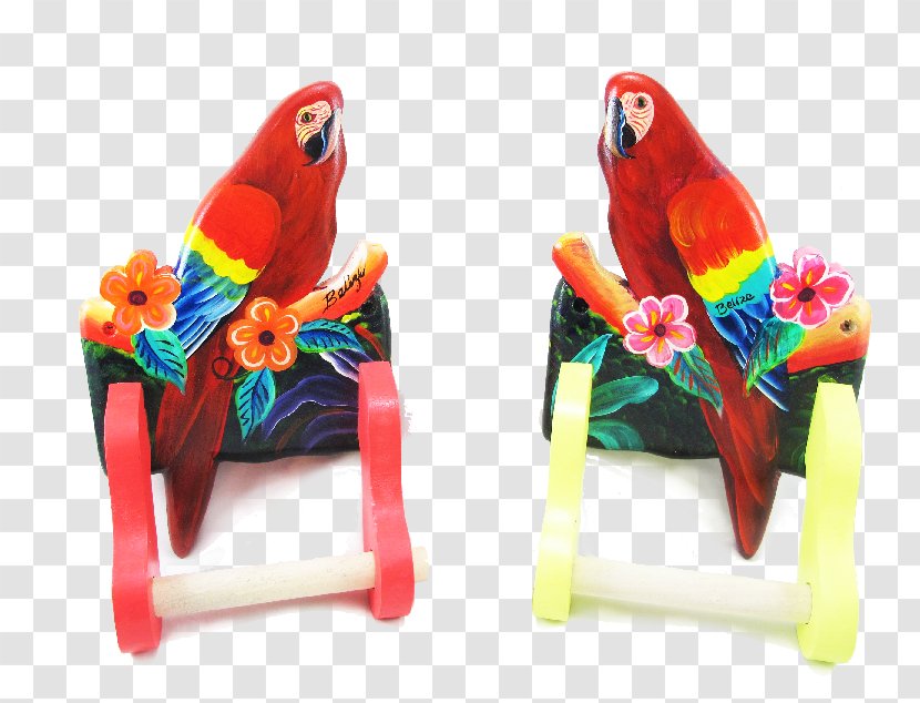 Macaw Parakeet Feather Beak Pet - Scarlet Transparent PNG