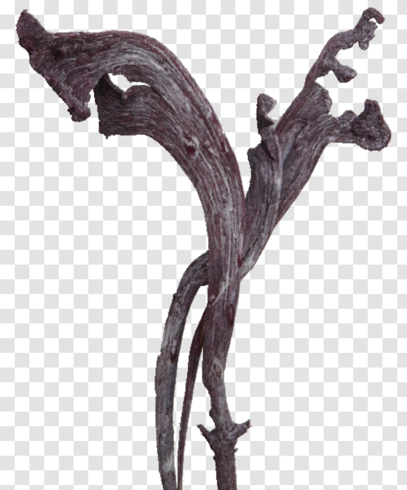 Twig BlackBerry Tree Made In Germany Earth - Natraj - Nataraj Transparent PNG