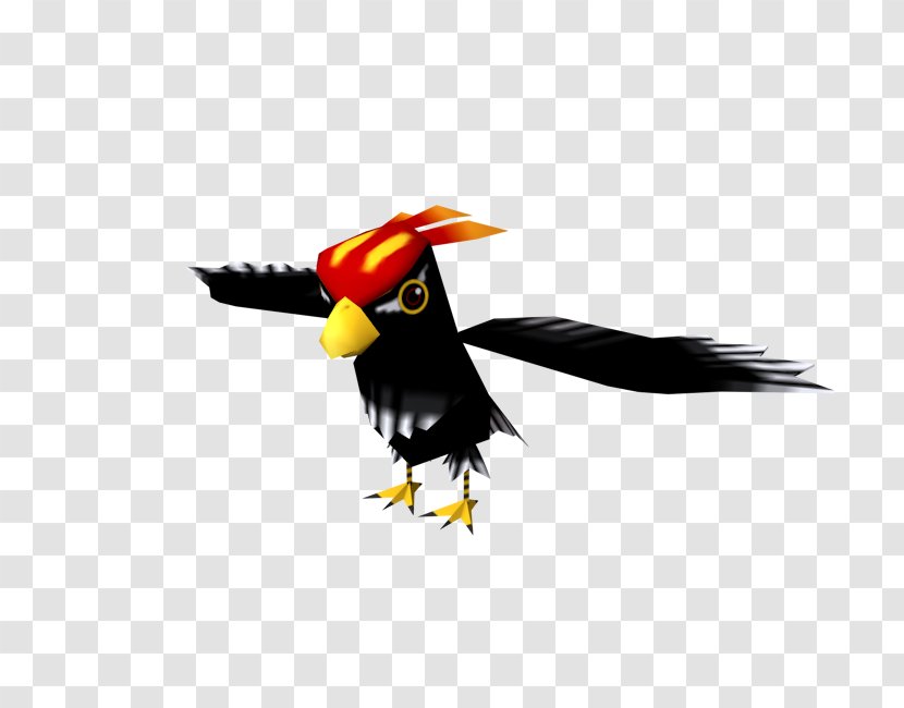 Toucan Woodpecker Download - Piciformes - Flappy Bird Boru Transparent PNG