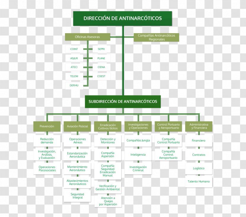 Product Design Brand Organization Diagram - Text Transparent PNG