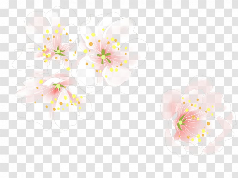 Blossom Floral Design Cut Flowers ST.AU.150 MIN.V.UNC.NR AD - Wildflower - Boon Business Transparent PNG