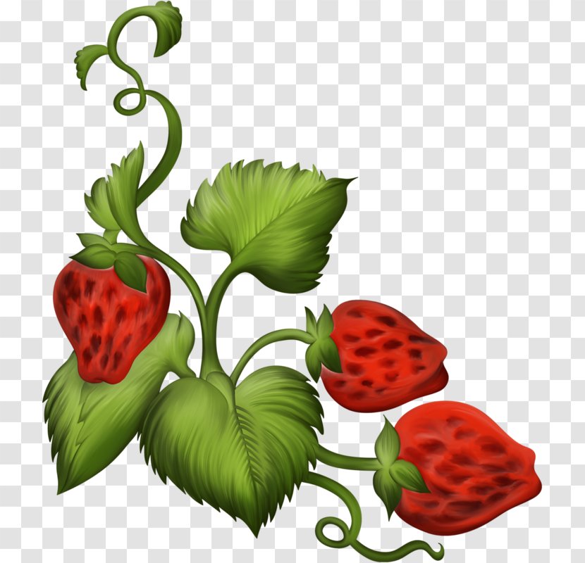 Mushroom Free Content Royalty-free Clip Art - Cartoon - Hand-painted Strawberry Transparent PNG