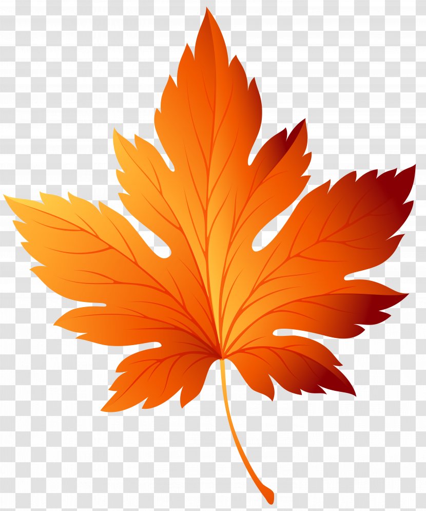 Autumn Leaf Color Clip Art - Transparent Image Transparent PNG