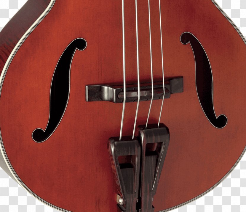 Bass Violin Guitar Double Violone Acoustic-electric - Heart Transparent PNG