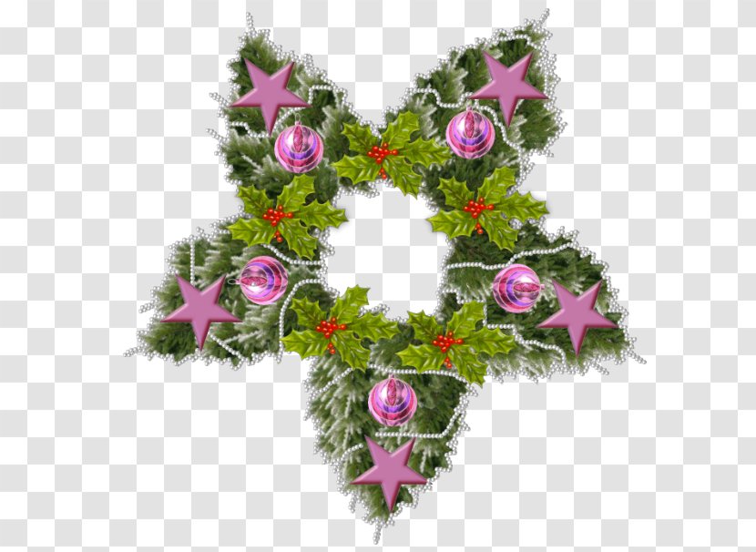 Christmas Ornament Floral Design Advent Wreath Kerstkrans - Flowering Plant Transparent PNG