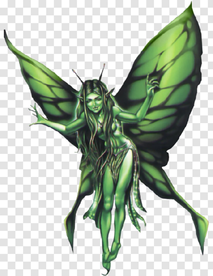 Fairy Animation Absinthe - Insect Transparent PNG