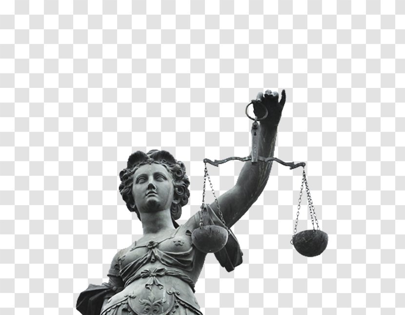 Criminal Defense Lawyer Court Law Transparent PNG