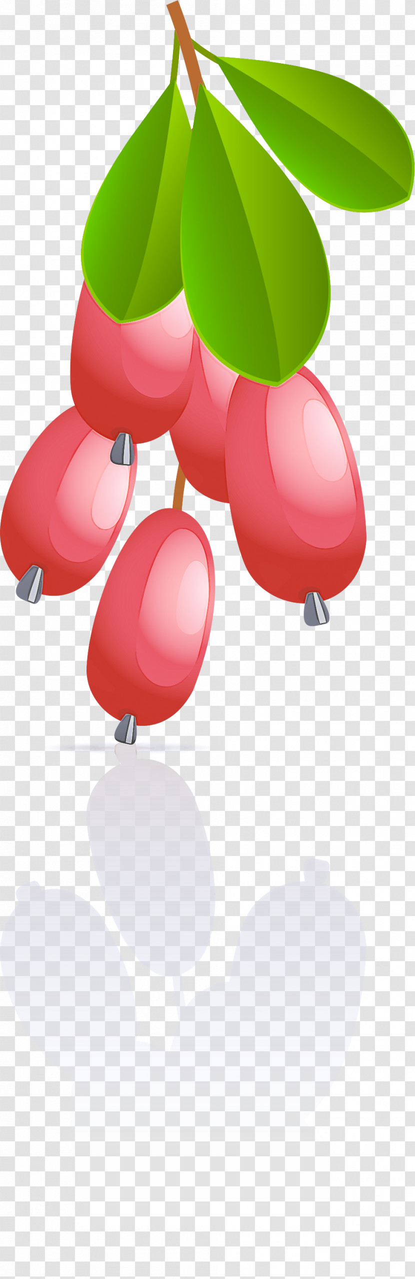 Pink Cartoon Balloon Plant Fruit Transparent PNG