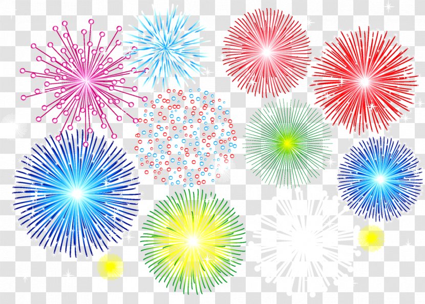 Fireworks Illustration - Sky Transparent PNG