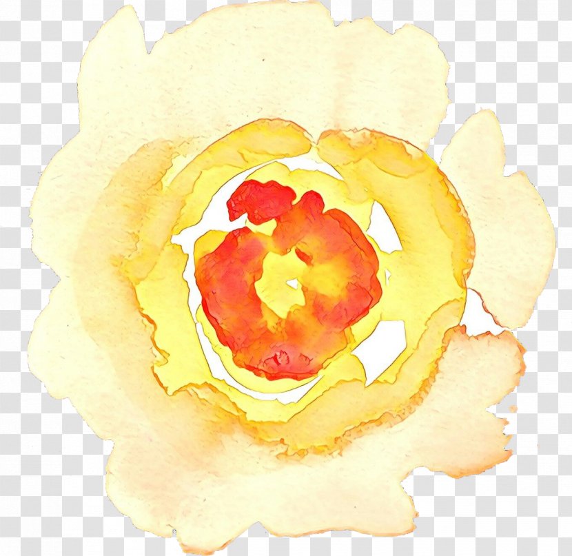 Flower Art Watercolor - Cut Flowers - Rose Family Paint Transparent PNG