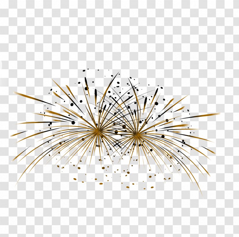 Fireworks Vecteur - Pyrotechnics - Vector Transparent PNG