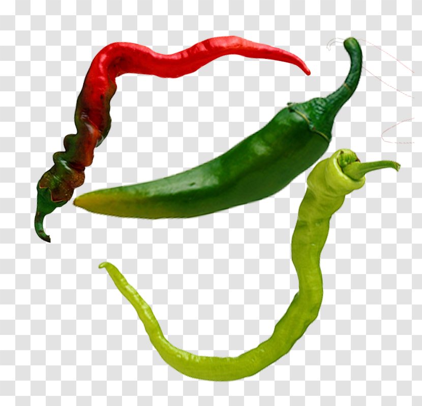 Serrano Pepper Birds Eye Chili Tabasco Cayenne Facing Heaven - Capsicum - Sichuan Peppers Transparent PNG