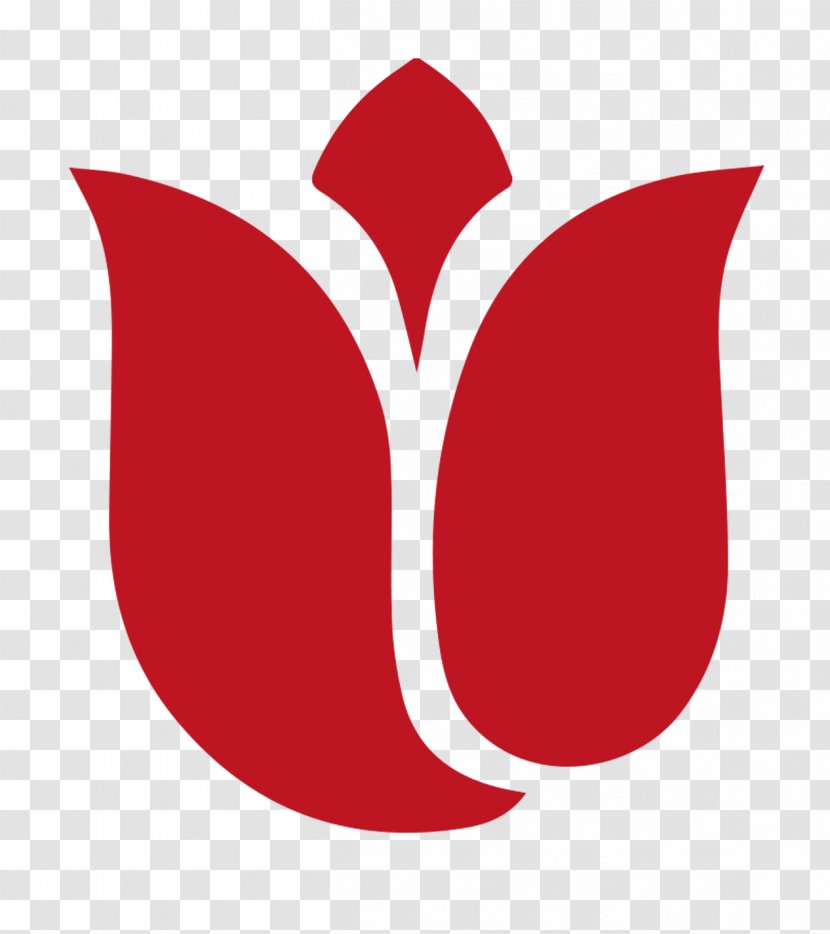 Koszalin Logo - Rose Transparent PNG