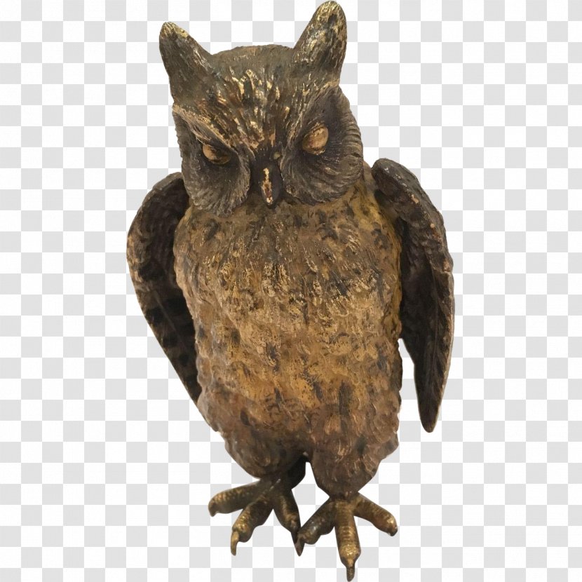 Bird Of Prey Owl Beak Fauna Transparent PNG