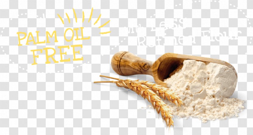 Inulin Dietary Supplement Flour Food Sugar Substitute - Whole Grain - Refined Flour. Transparent PNG
