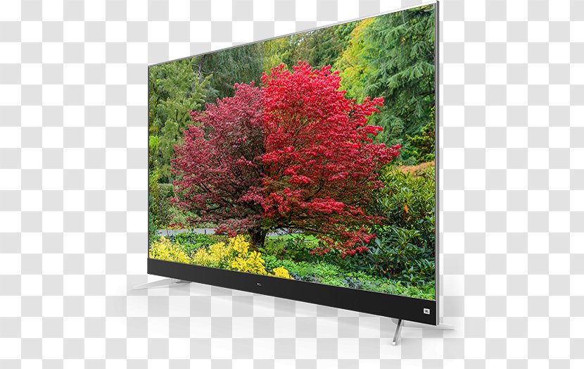 TCL C7006 Ultra-high-definition Television 4K Resolution Smart TV - Tcl S Series 55s405 55 Led Tv 4k Ultrahd - Android Transparent PNG