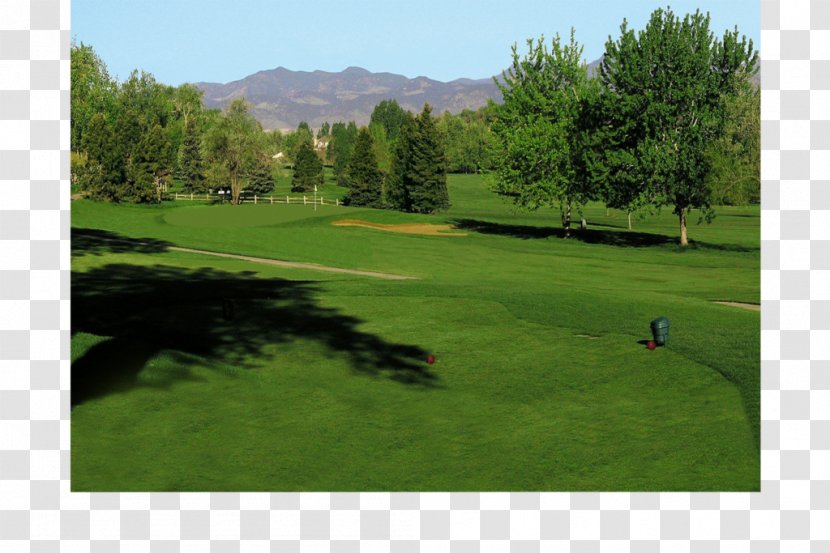 Indian Tree Golf Club Course Clubs The US Open (Golf) Pitch And Putt - Hill Station Transparent PNG