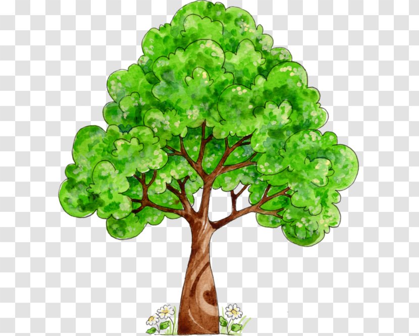 Tree Oak - Logo Transparent PNG