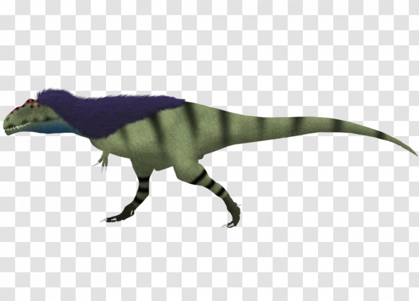 Carcharodontosaurus Giganotosaurus Spinosaurus Dinosaur Size Tyrannotitan - Reptile - Pictorial Transparent PNG
