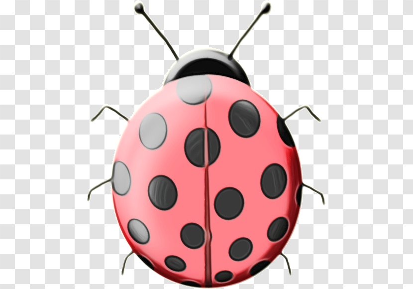Ladybug - Watercolor - Jewel Bugs Transparent PNG