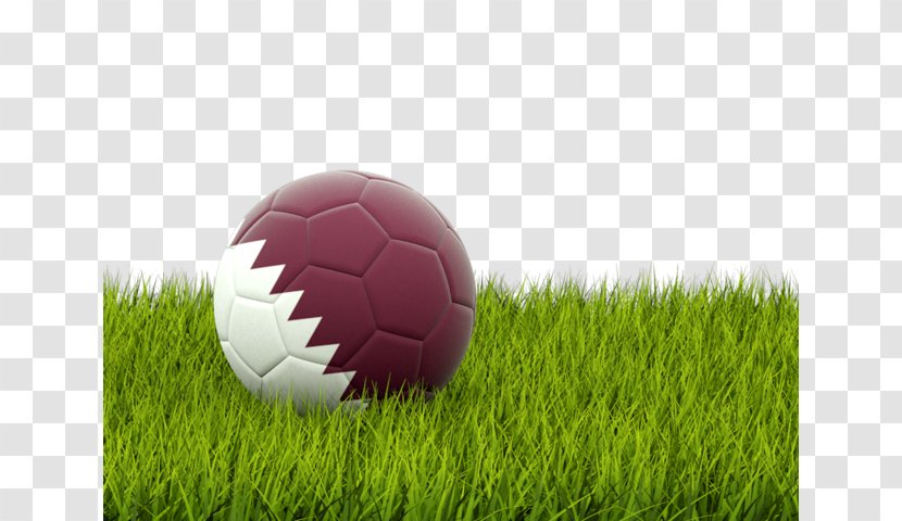 2018 World Cup Portugal National Football Team Flag Of Qatar - Grass Transparent PNG