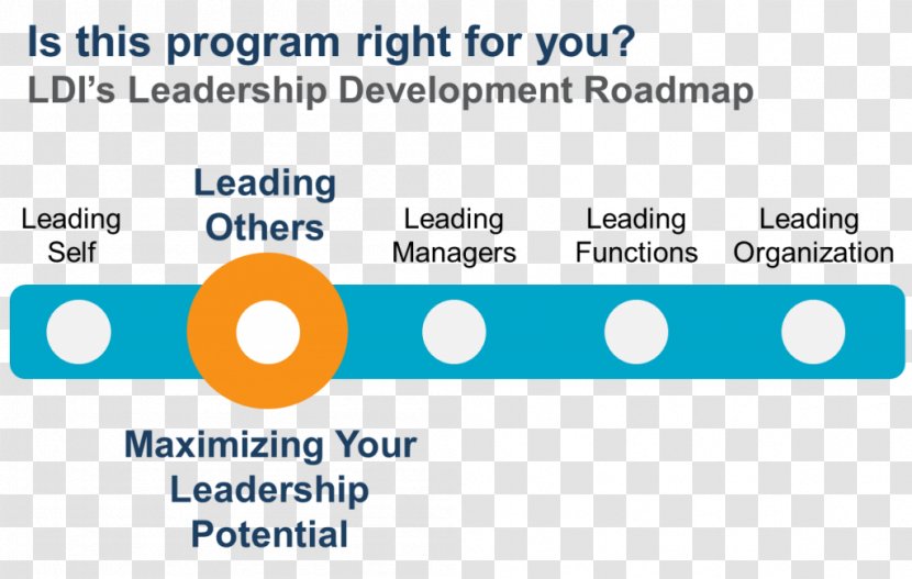 Leadership Development Learning Organization From The Inside Out: Becoming A Leader For Life - Text - Online Advertising Transparent PNG