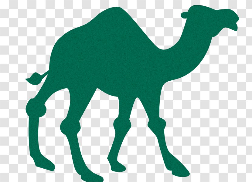Bactrian Camel Dromedary Silhouette Clip Art - Green Transparent PNG
