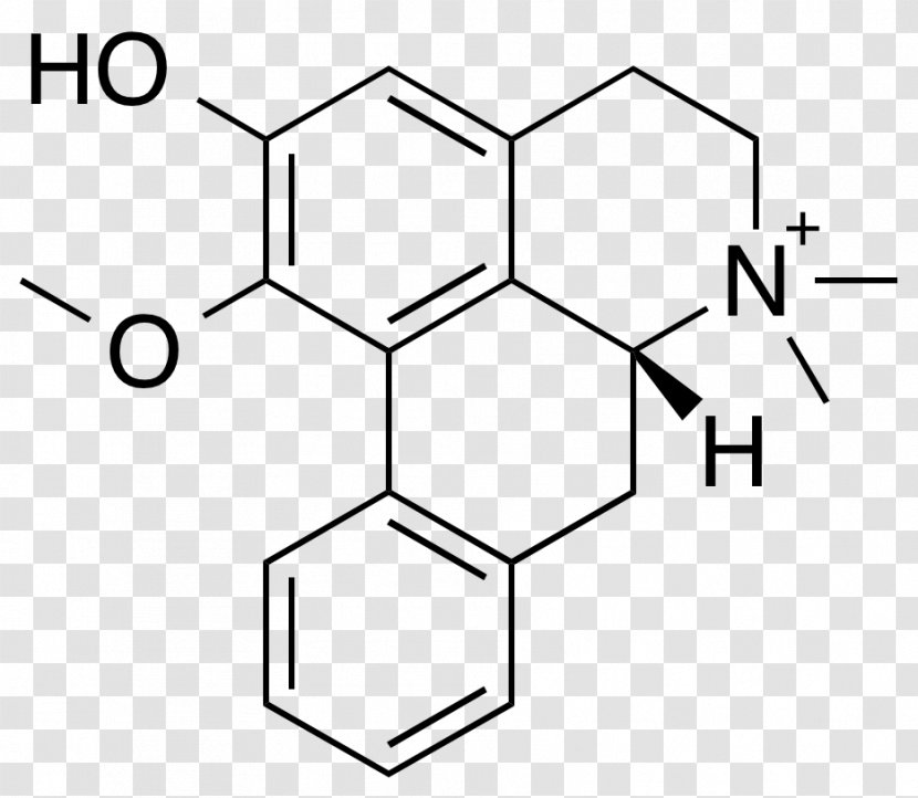 Morphine Opioid Use Disorder Codeine Structure - Silhouette - Dimethylamine Transparent PNG