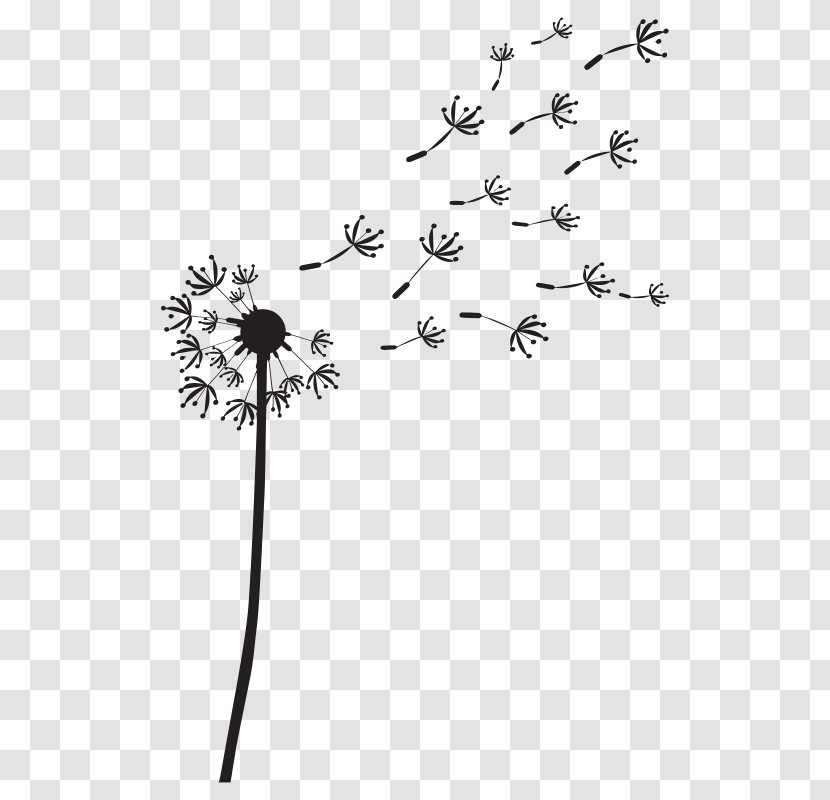 Dandelion Drawing Clip Art - Photography - Diente De Leon Transparent PNG