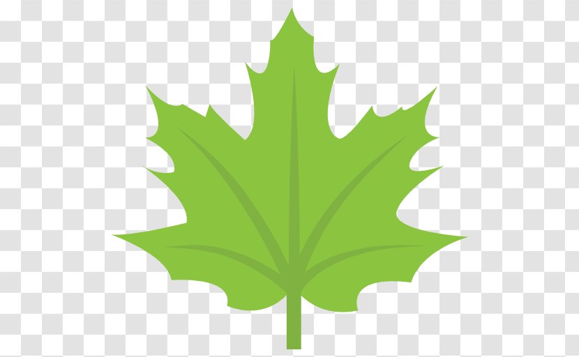 Maple Leaf Flag Of Canada Sugar - Autumn Color Transparent PNG