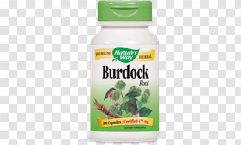 Dietary Supplement Greater Burdock Nutrient Herb Root - BURDOCK Transparent PNG
