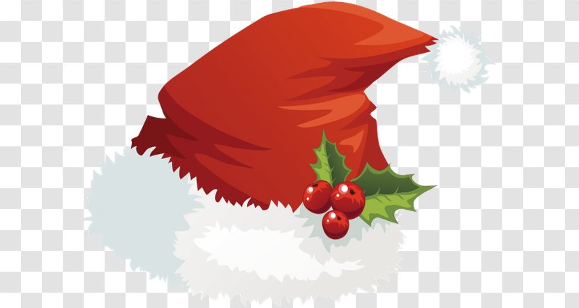 Christmas Clip Art - Fruit Transparent PNG