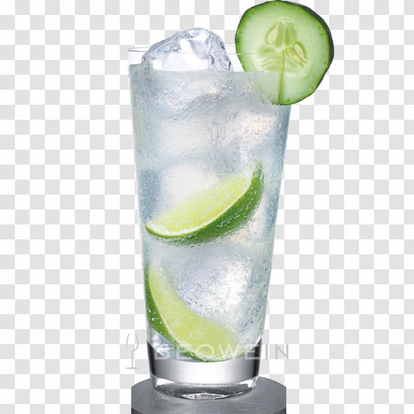 Cocktail Gin And Tonic Vodka Rickey Sea Breeze - Margarita - Glas Transparent PNG