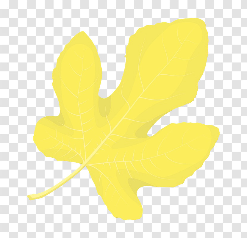 Leaf Yellow Petal Plant Structure Plant Transparent PNG