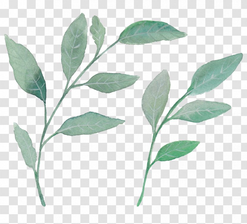 Leaf Watercolor Painting Plant - Wind Fresh Green Leaves Transparent PNG