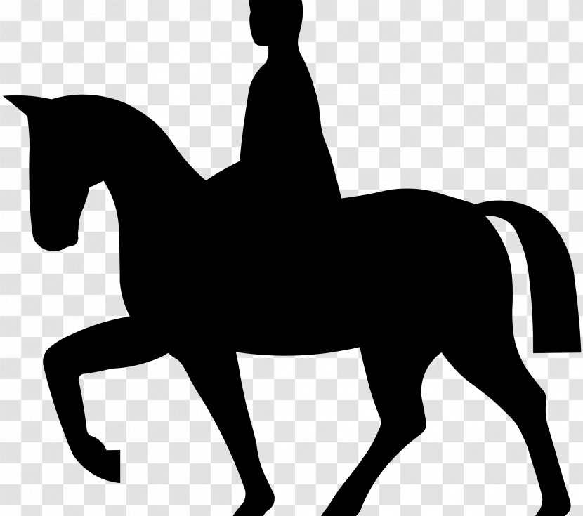 Horse Equestrian Trail Riding Clip Art - Neck - Ride Vector Transparent PNG