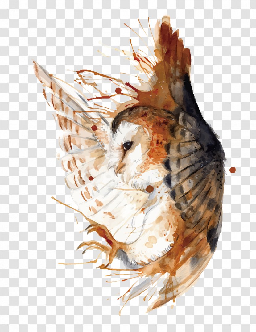 Owl DeviantArt Watercolor Painting Work Of Art - Feather - Vector Hand Painted Transparent PNG