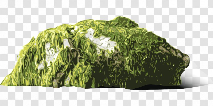 Moss Clip Art - Mauer - Log Transparent PNG