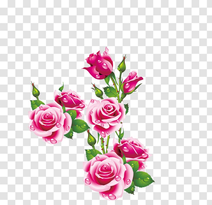 Birthday Holiday Happiness Name Day Joy - Artificial Flower - Peony Transparent PNG