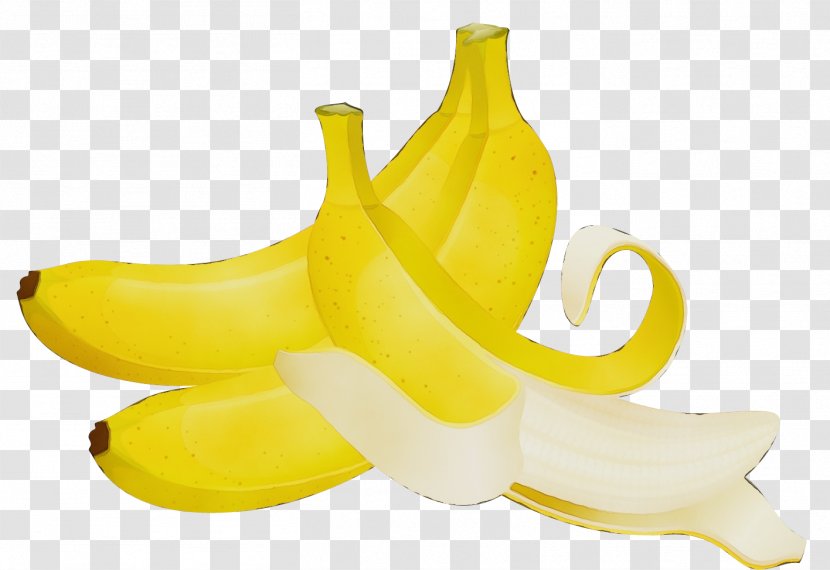 Banana Family Yellow Fruit Plant - Food Transparent PNG