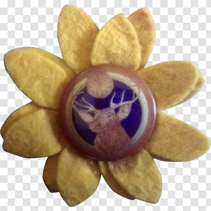 Flower Petal Violet - Sunflower Transparent PNG