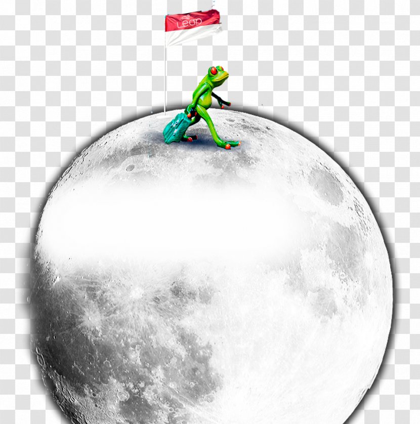 Sporting Goods Moon - Moonfrog Transparent PNG