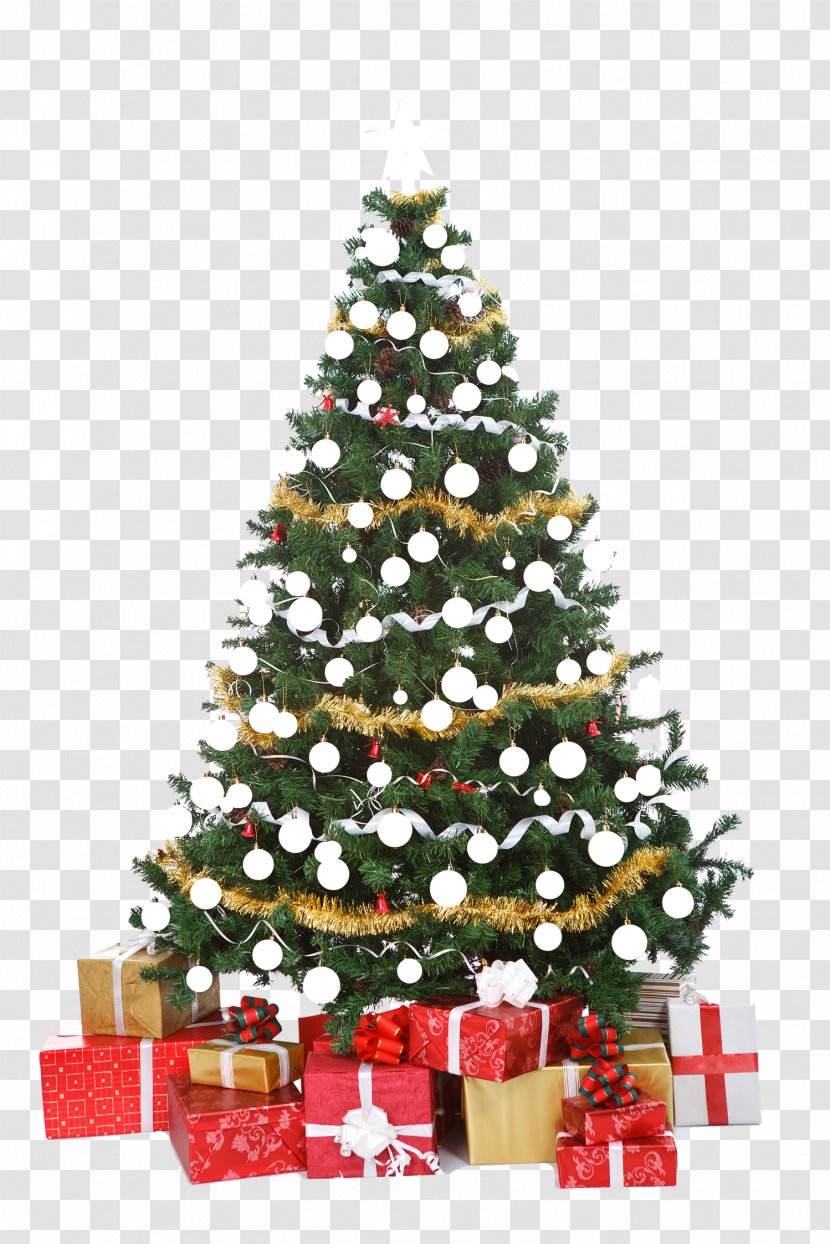 Christmas Tree Decoration Ornament - Fir - Tea Transparent PNG