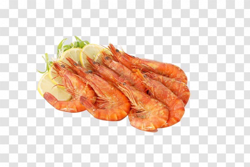 Caridea Bratwurst Shrimp - Side Dish - Delicious Transparent PNG
